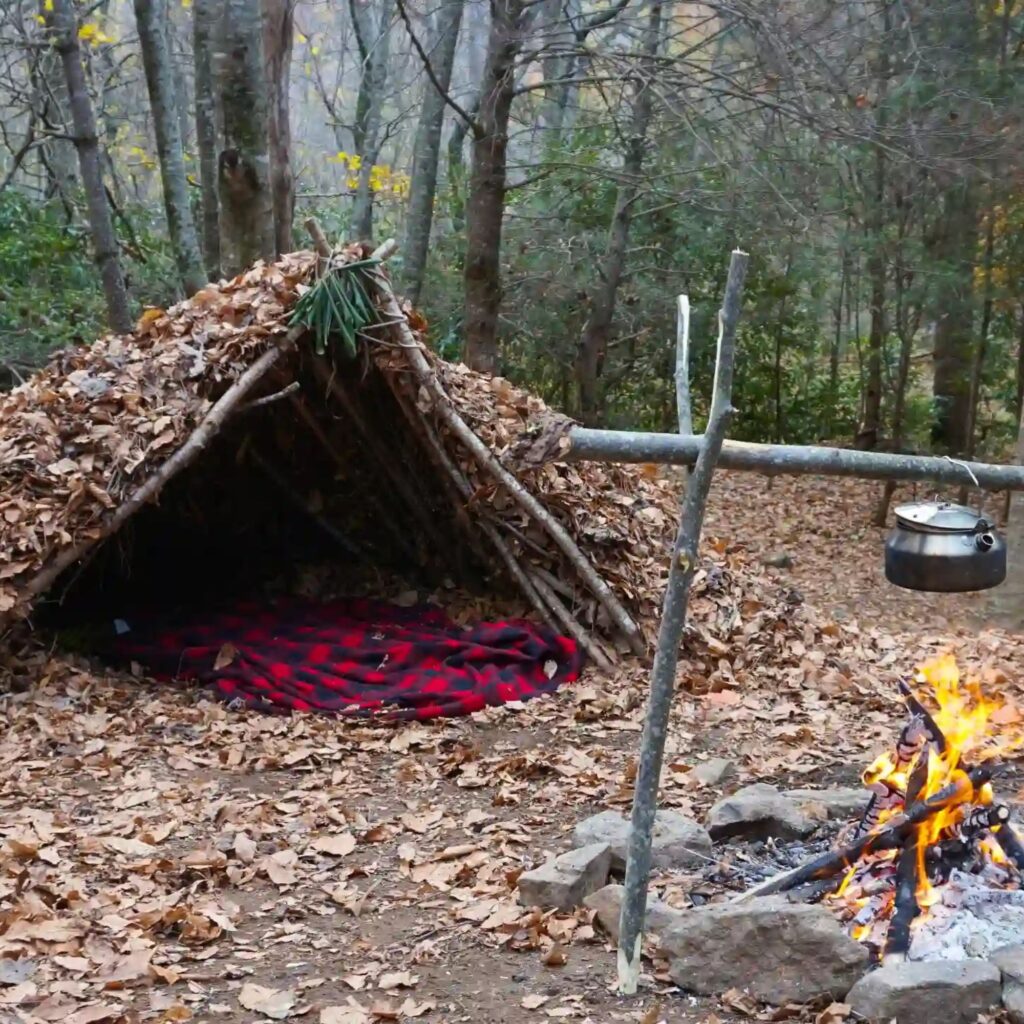 “Essential Survival Skills Every Beginner Should Learn”